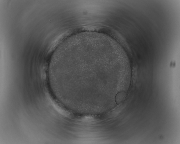 X0000113010114200909171439