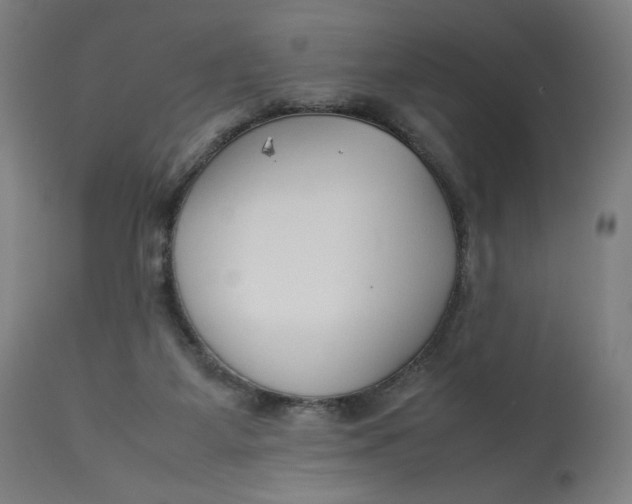 X0000113010115200909171439