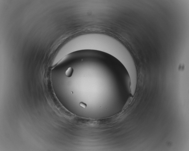 X0000113010116200909171439