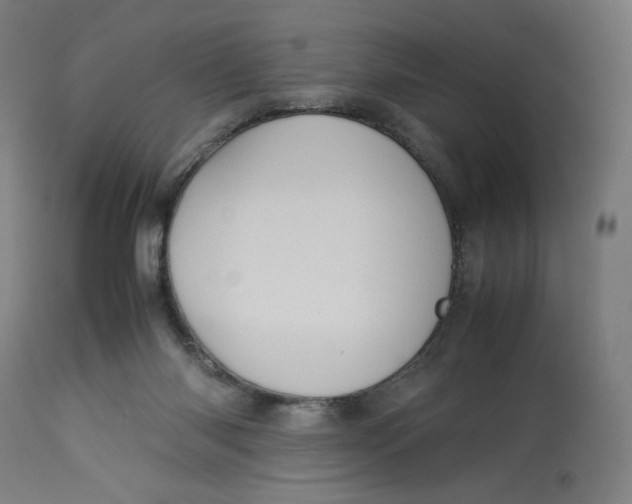 X0000113010118200909171439