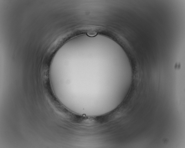 X0000113010119200909171439