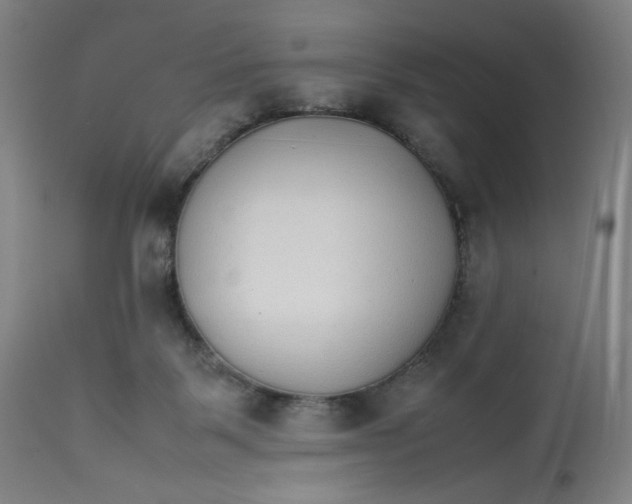 X0000113010123200909171439