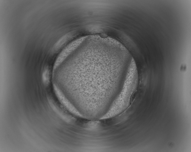 X0000113010124200909171439