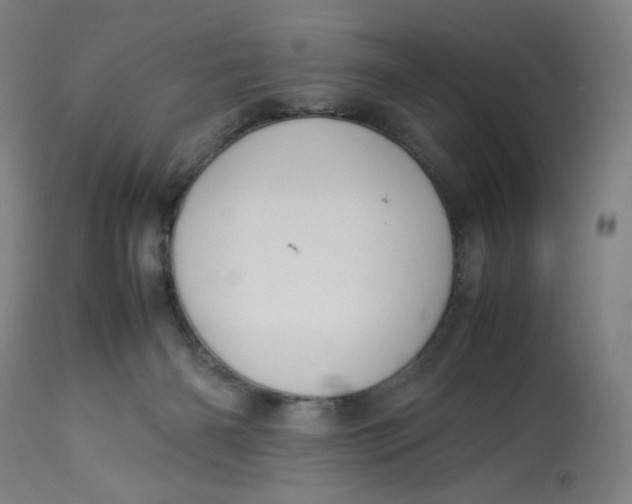 X0000113010126200909171438