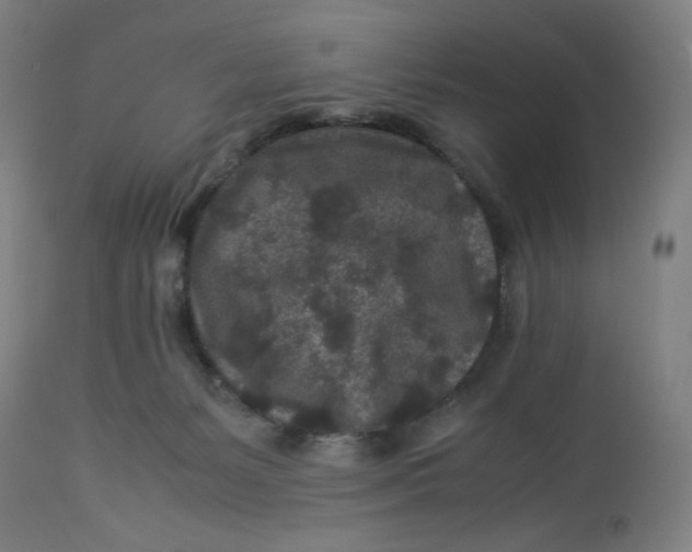 X0000113010127200909171438