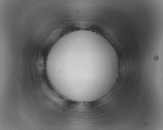 X0000113010128200909171438