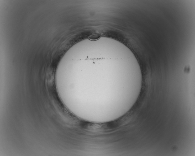 X0000113010129200909171438