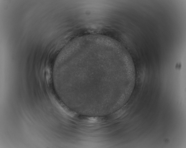 X0000113010130200909171438