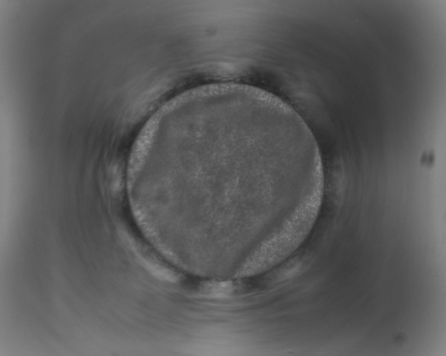 X0000113010131200909171438