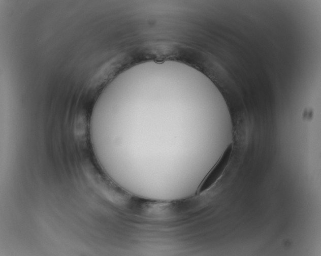 X0000113010132200909171438