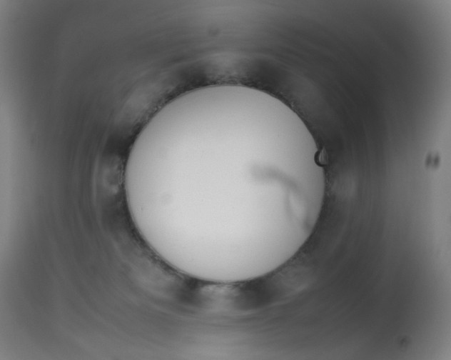 X0000113010133200909171438