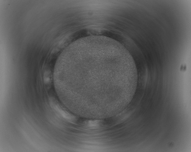 X0000113010134200909171438