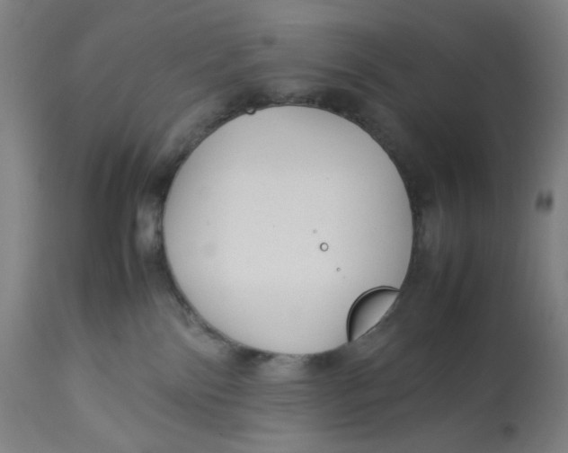 X0000113010138200909171438