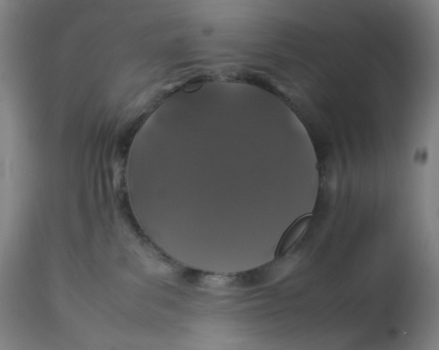 X0000113010139200909171438