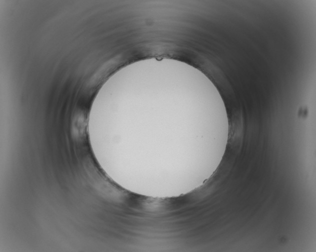 X0000113010142200909171438