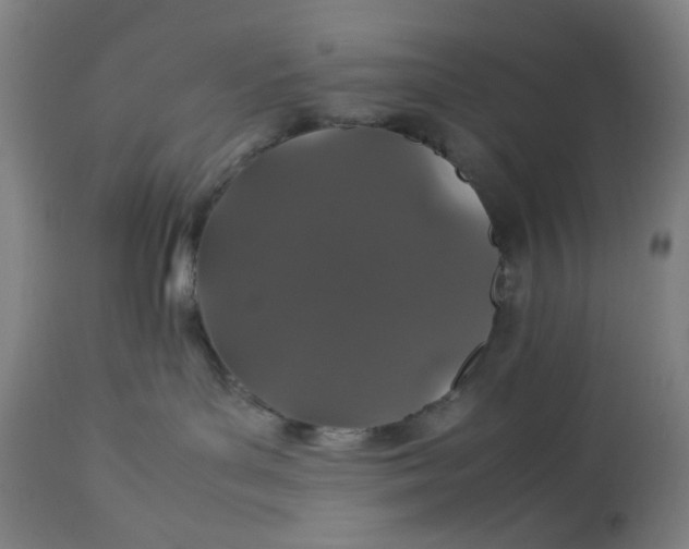 X0000113010143200909171438