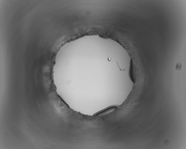 X0000113010144200909171438