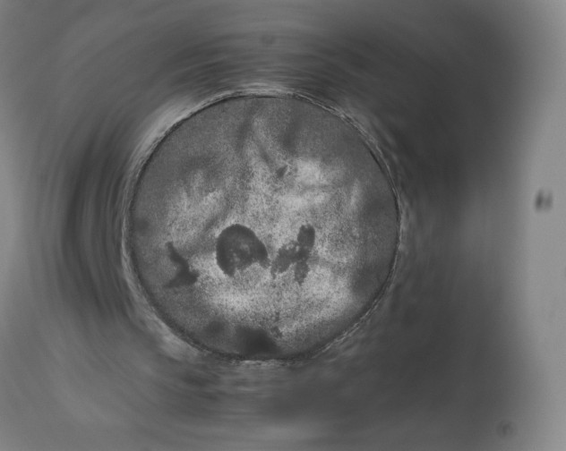 X0000113010145200909171437