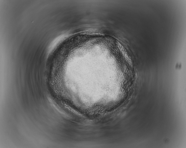 X0000113010149200909171437