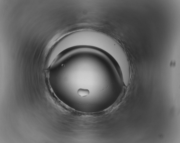 X0000113010150200909171437