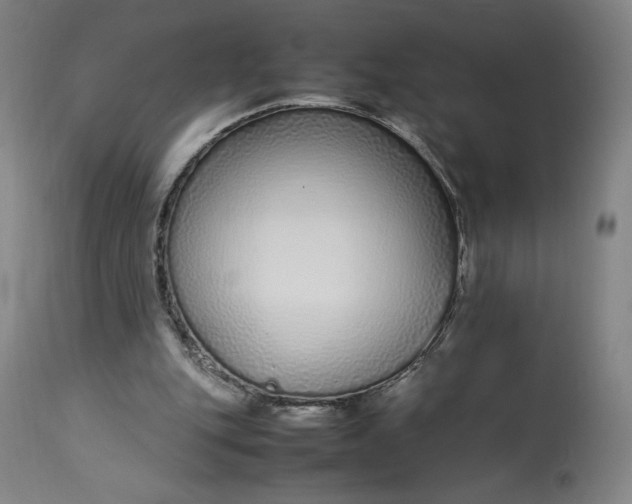 X0000113010151200909171437