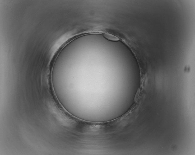 X0000113010152200909171438