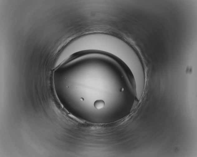 X0000113010154200909171438