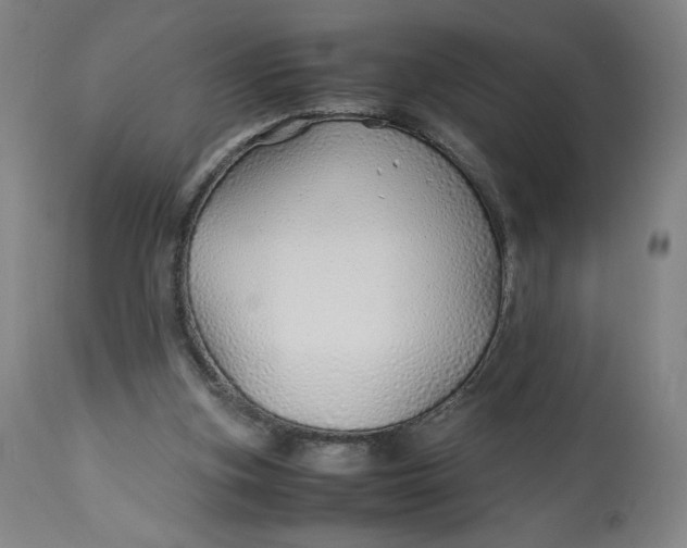 X0000113010155200909171438