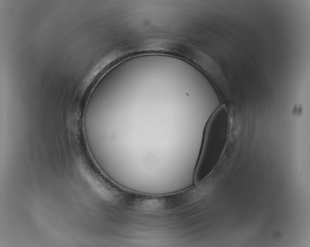 X0000113010156200909171438