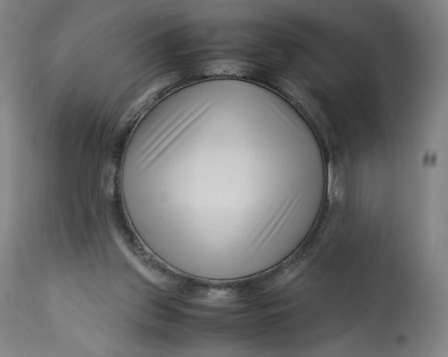 X0000113010157200909171438