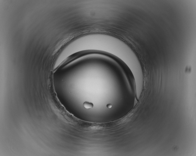 X0000113010158200909171438