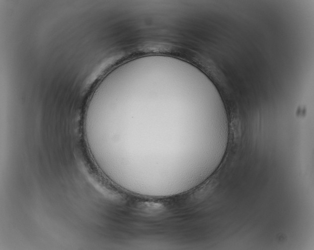 X0000113010159200909171438