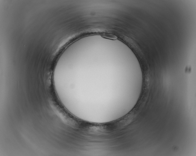 X0000113010160200909171438