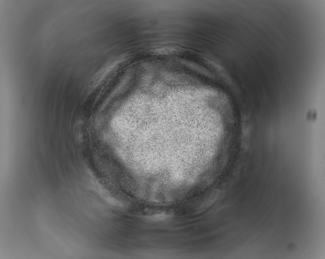 X0000113010161200909171438