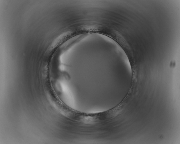 X0000113010163200909171438