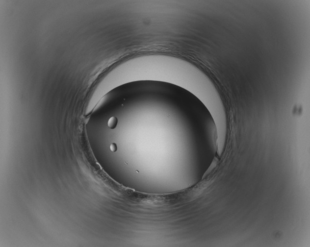 X0000113010164200909171438