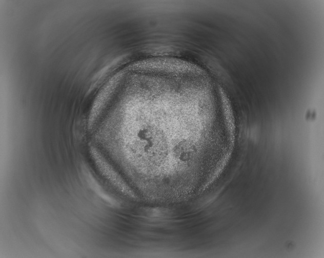 X0000113010165200909171438