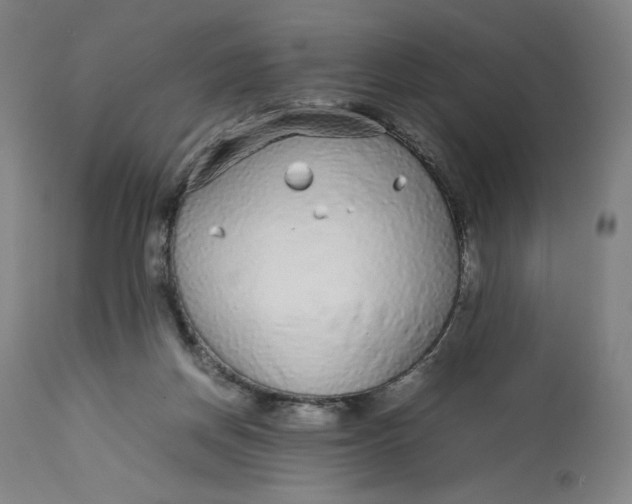 X0000113010166200909171438