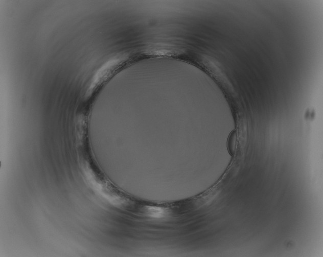 X0000113010167200909171438