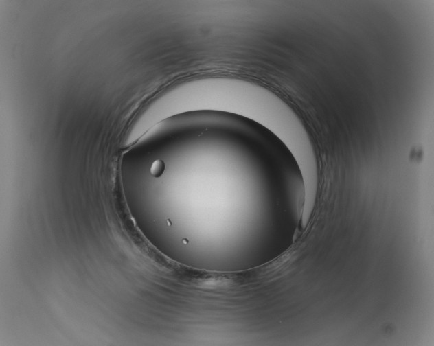 X0000113010168200909171438