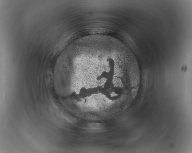 X0000113010169200909171438