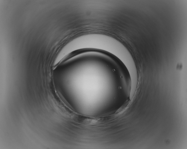 X0000113010170200909171438