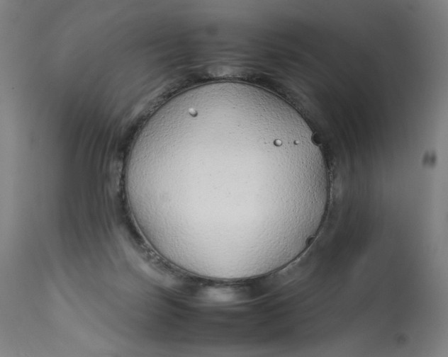 X0000113010171200909171438