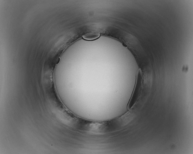 X0000113010172200909171438