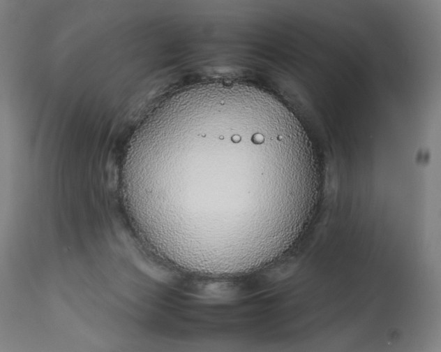 X0000113010173200909171438