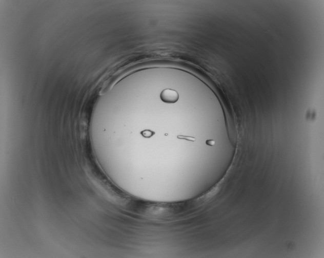 X0000113010174200909171438