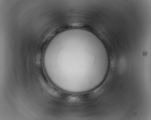 X0000113010175200909171438