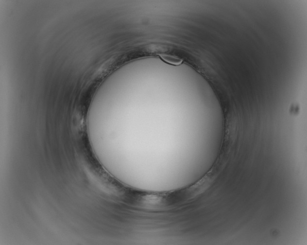 X0000113010176200909171438