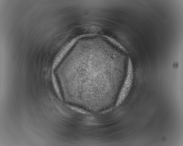 X0000113010177200909171438