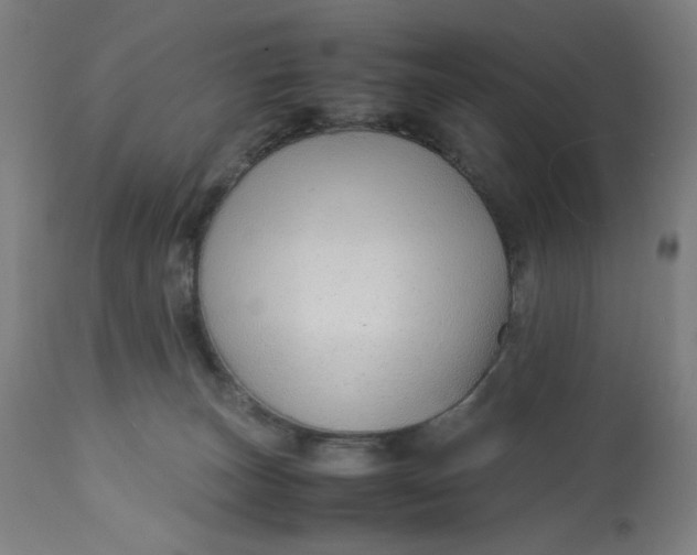 X0000113010179200909171438